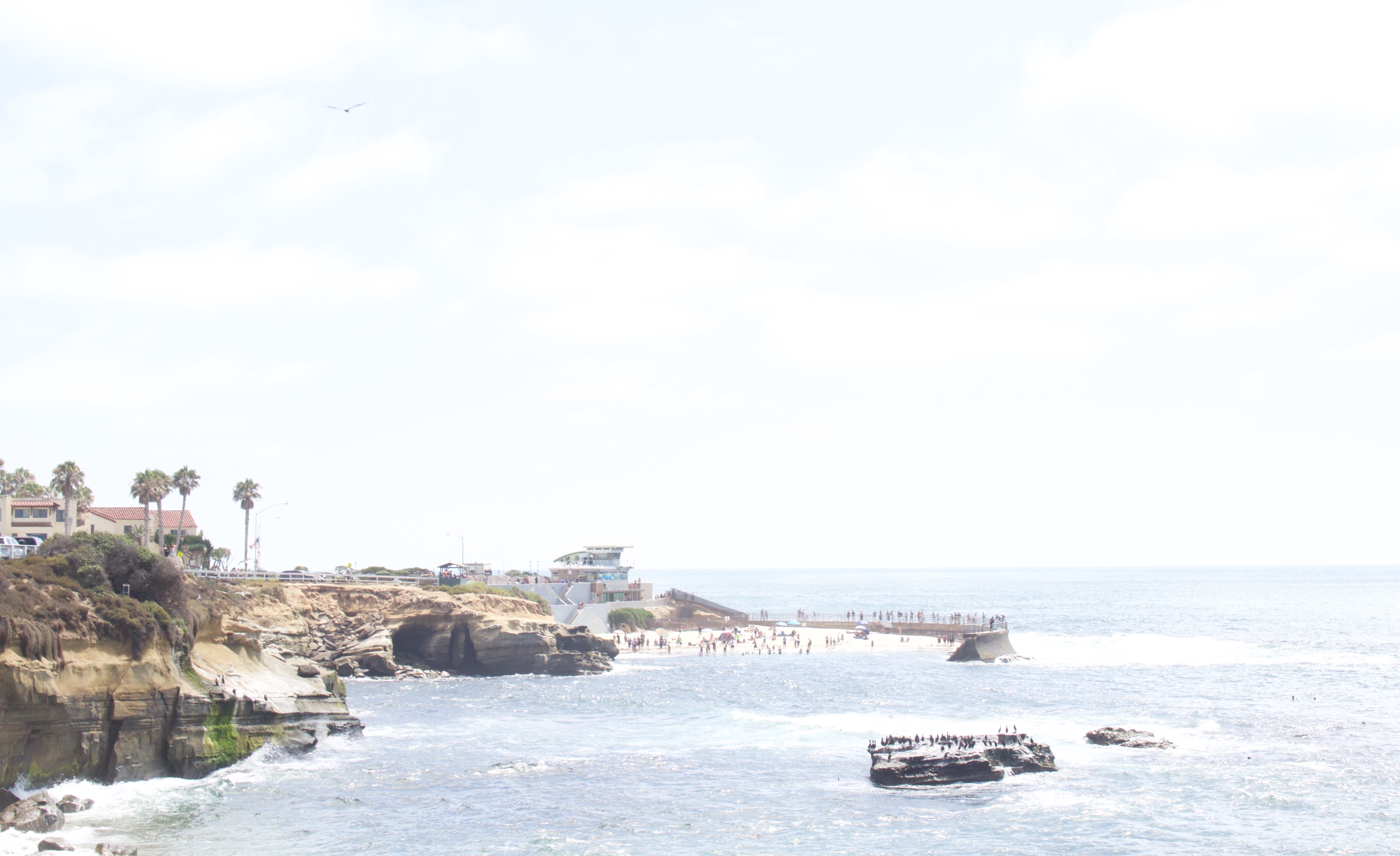 La Jolla Cove - My Styled Life