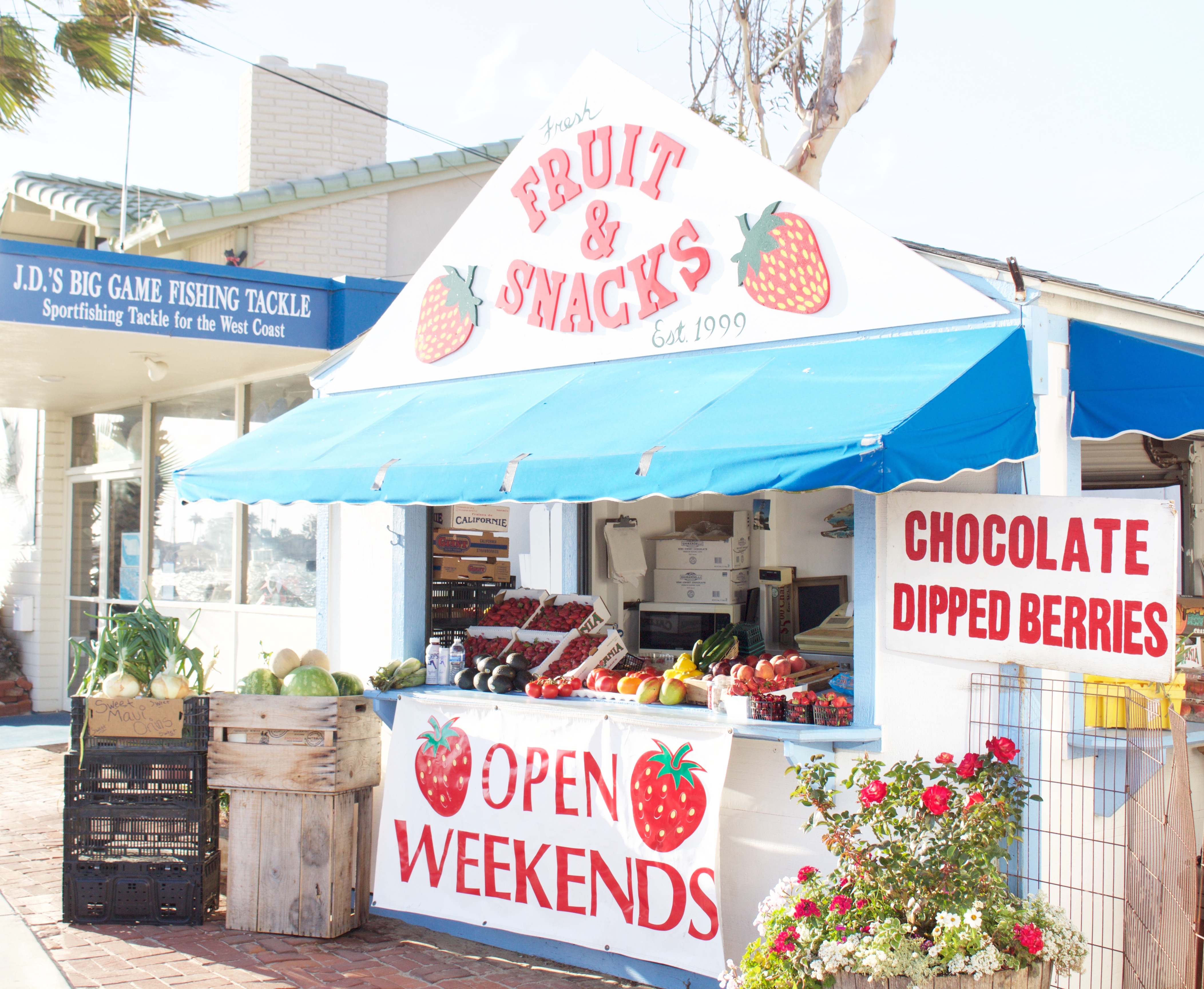 Balboa Island - My Styled Life