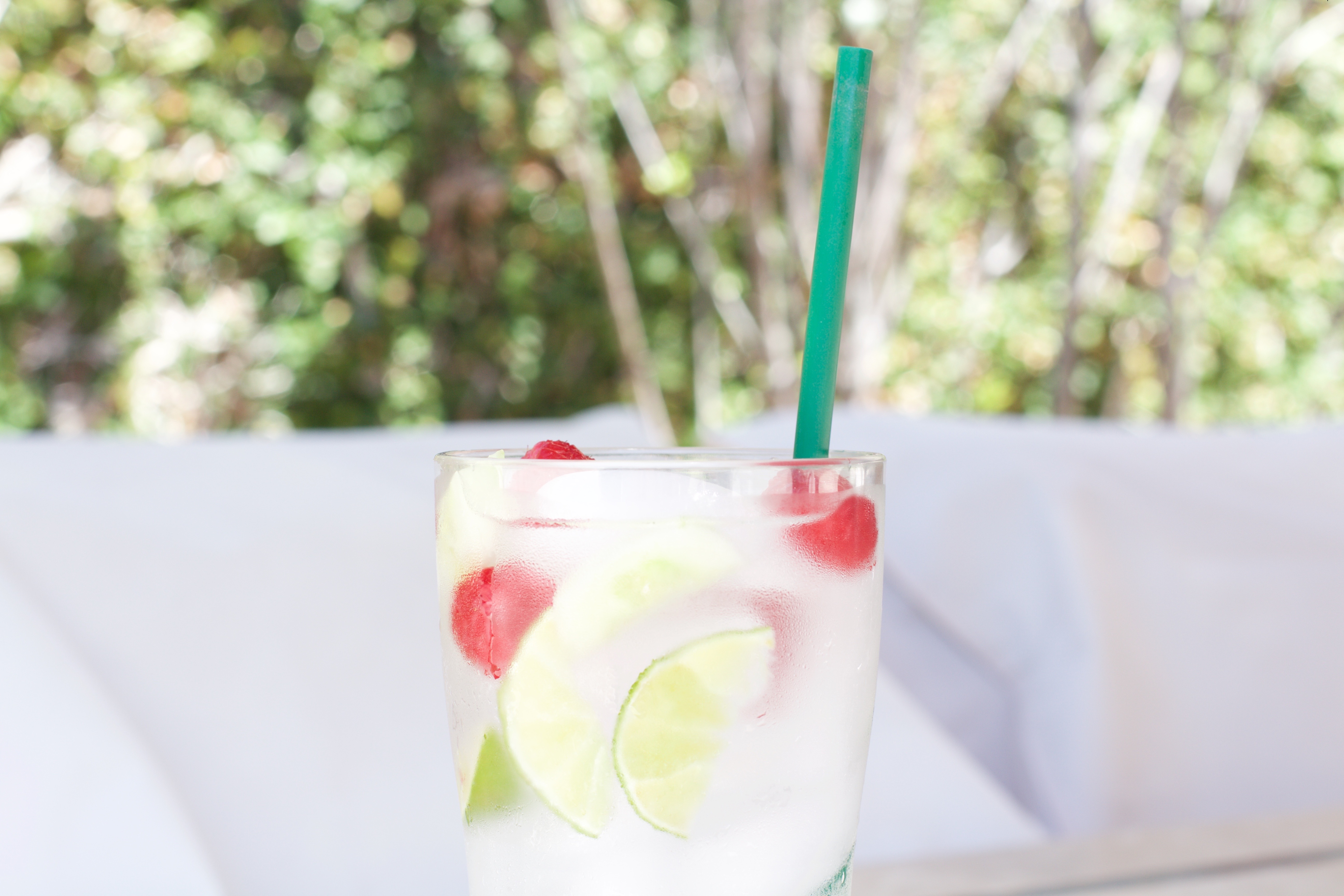 refreshing naturally flavored water recipe - My Styled Life