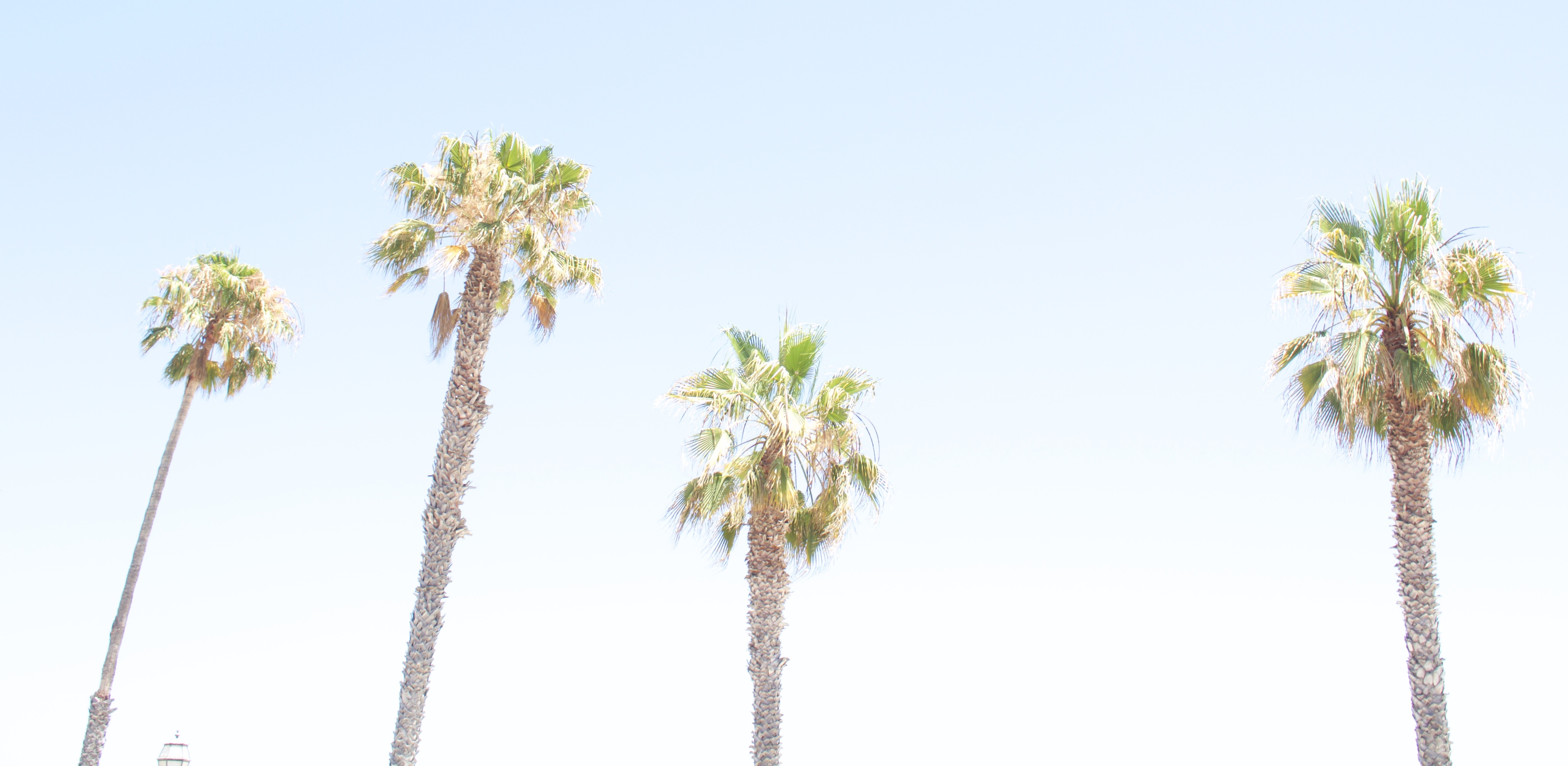 Santa Barbara, California day trip - My Styled Life