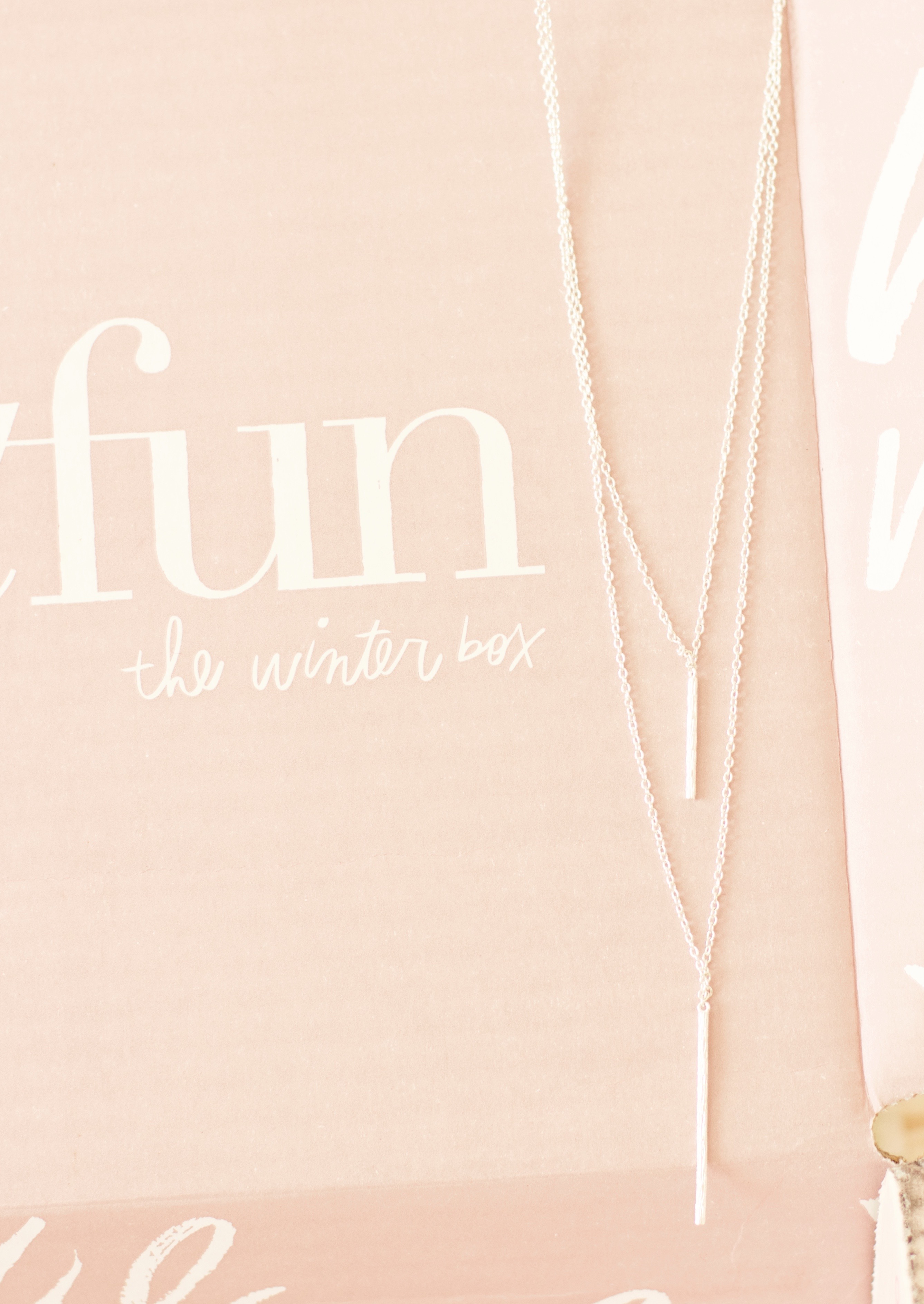 FabFitFun Winter 2016 Box review