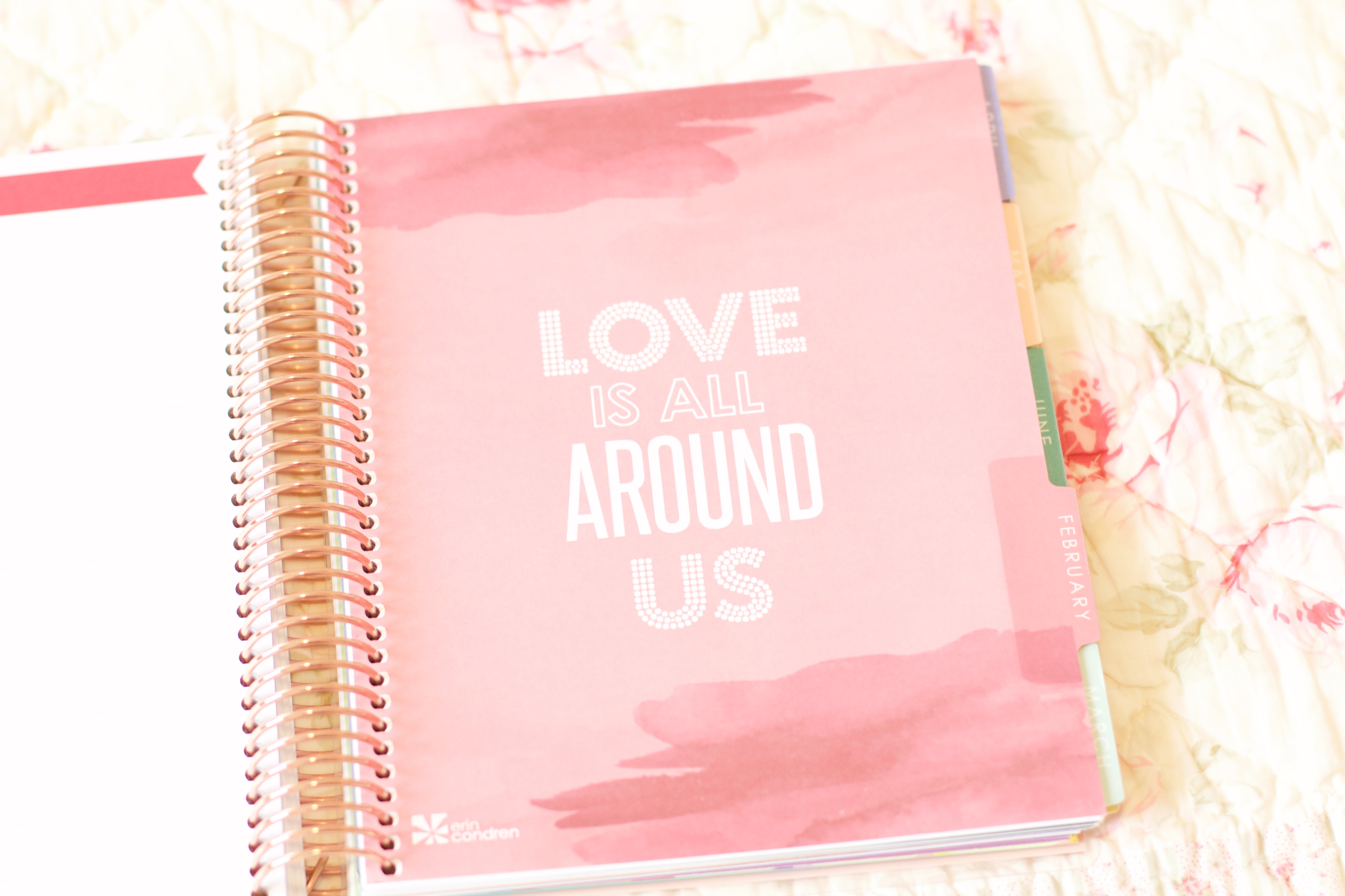 Erin Condren February 2017 LifePlanner