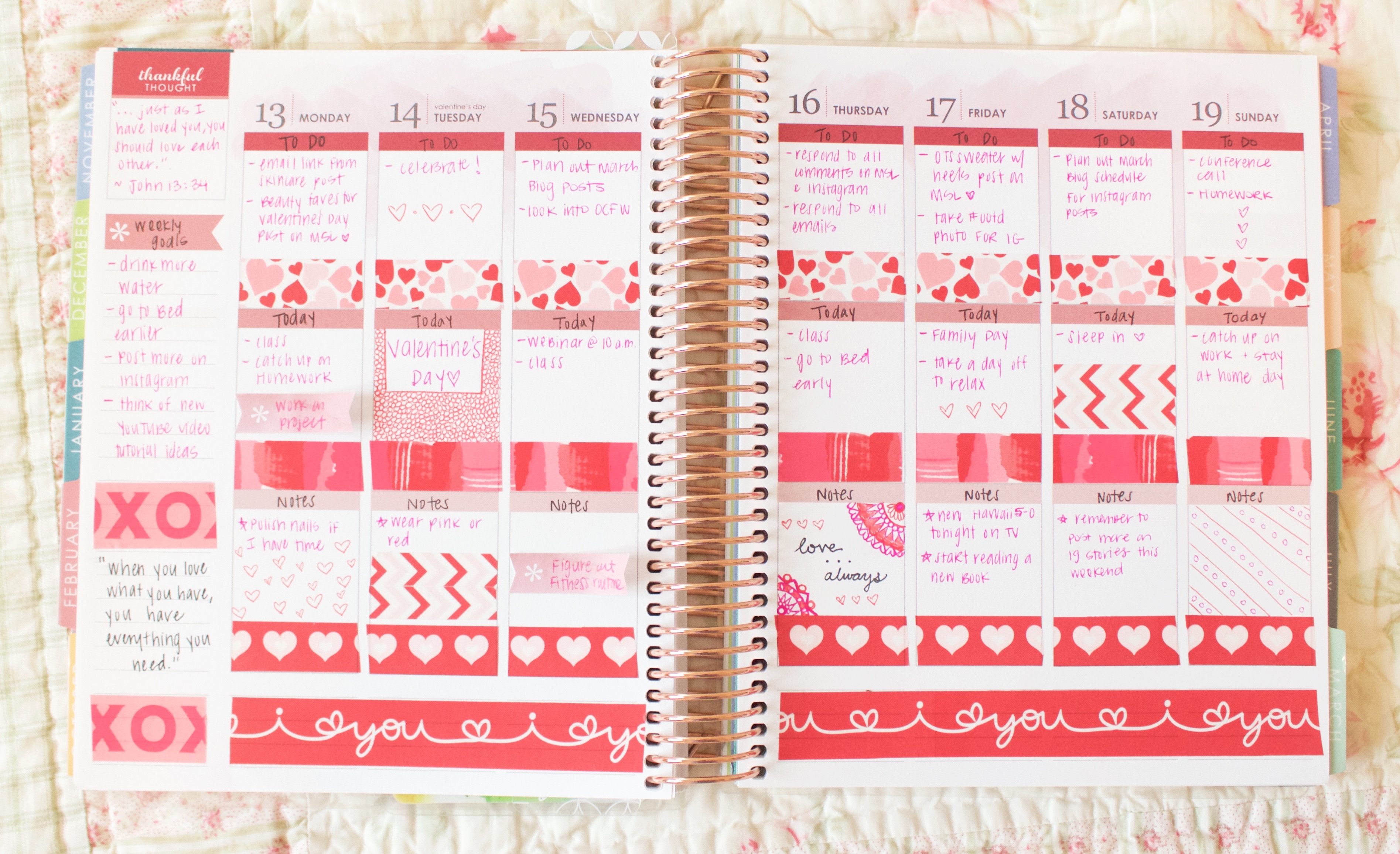 February 2017 Erin Condren LifePlanner decorations