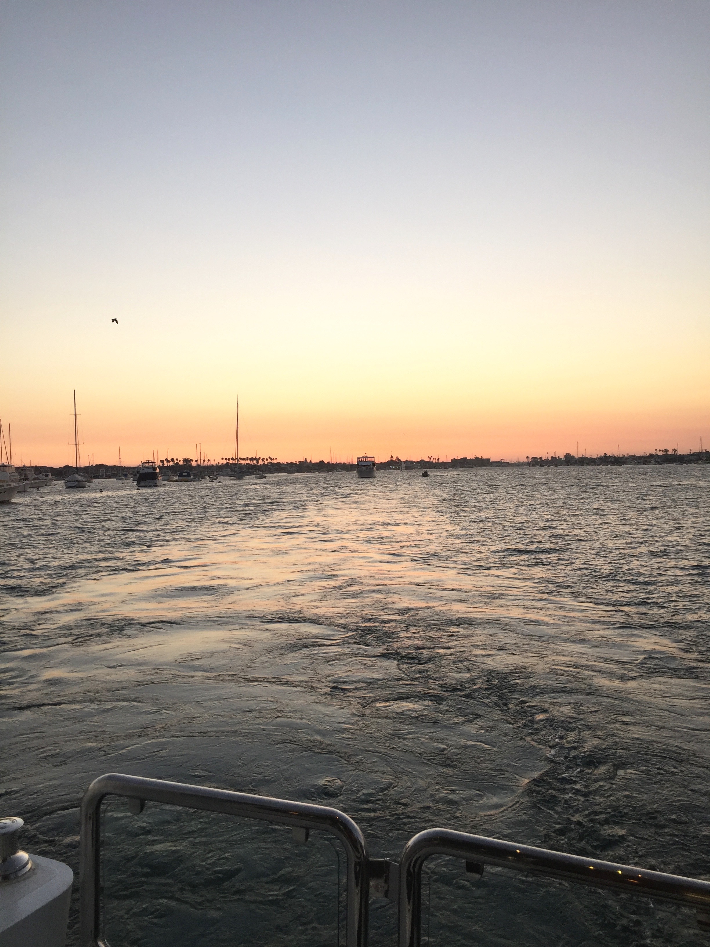 OCFW sugar rush sunset cruise