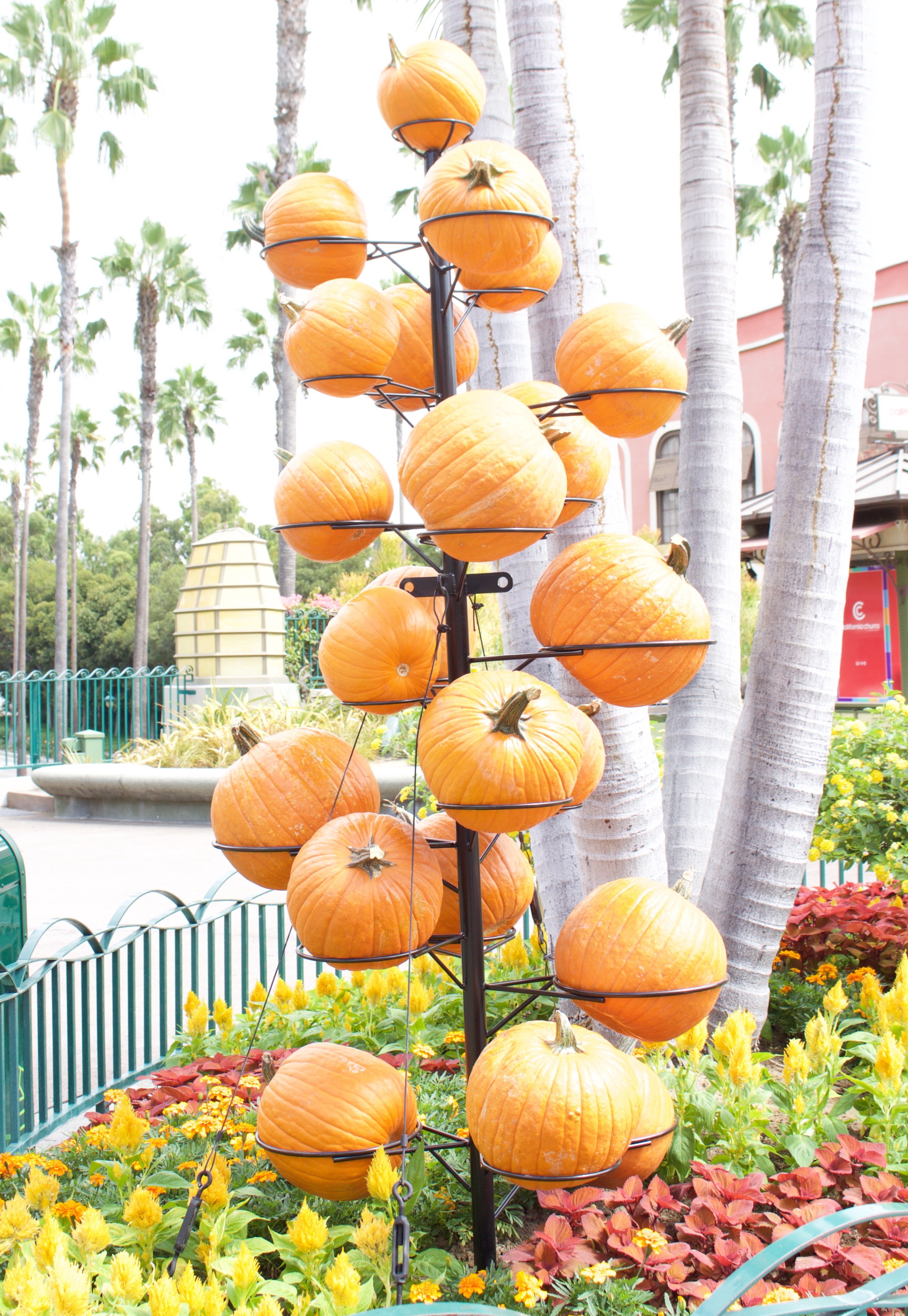 downtown disney decorated for halloween 2017