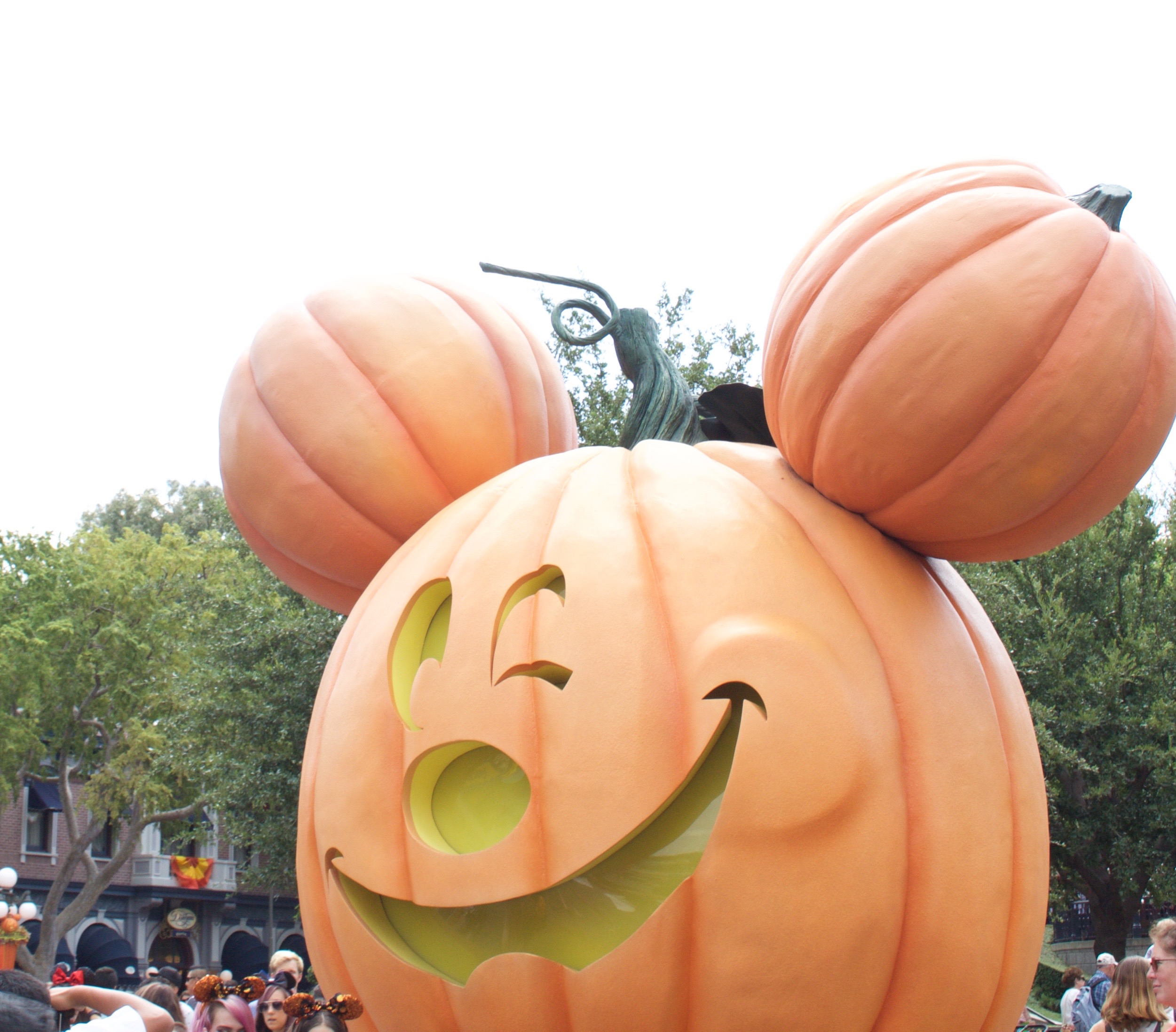 giant mickey pumpkin