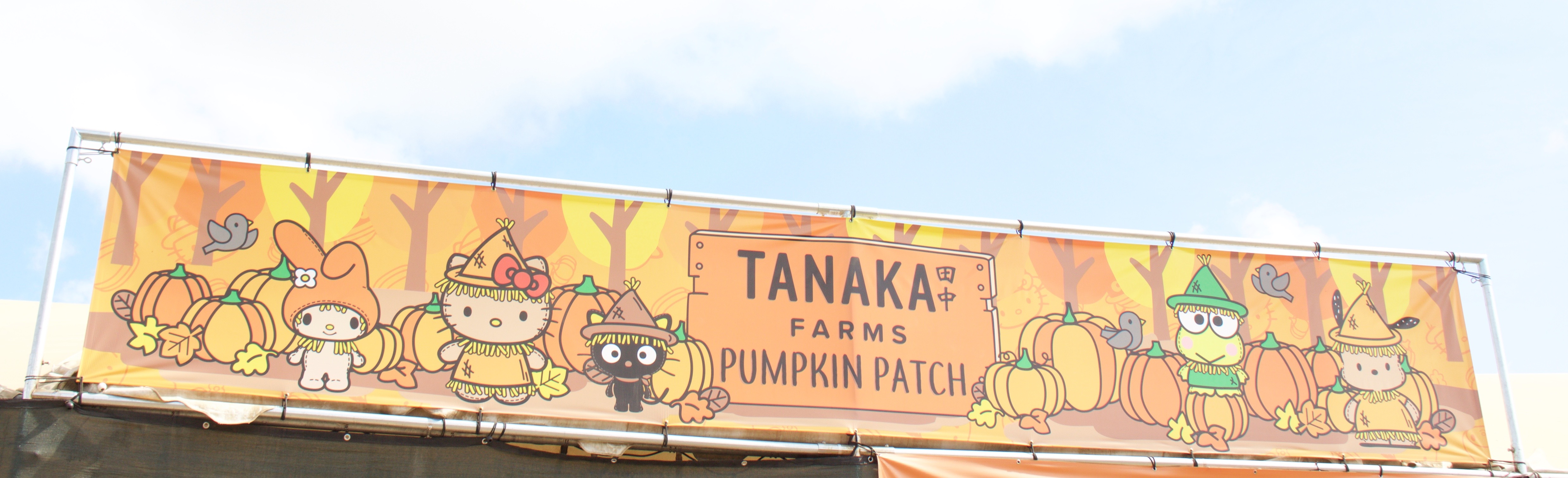 tanaka farms 2017 pumpkin patch