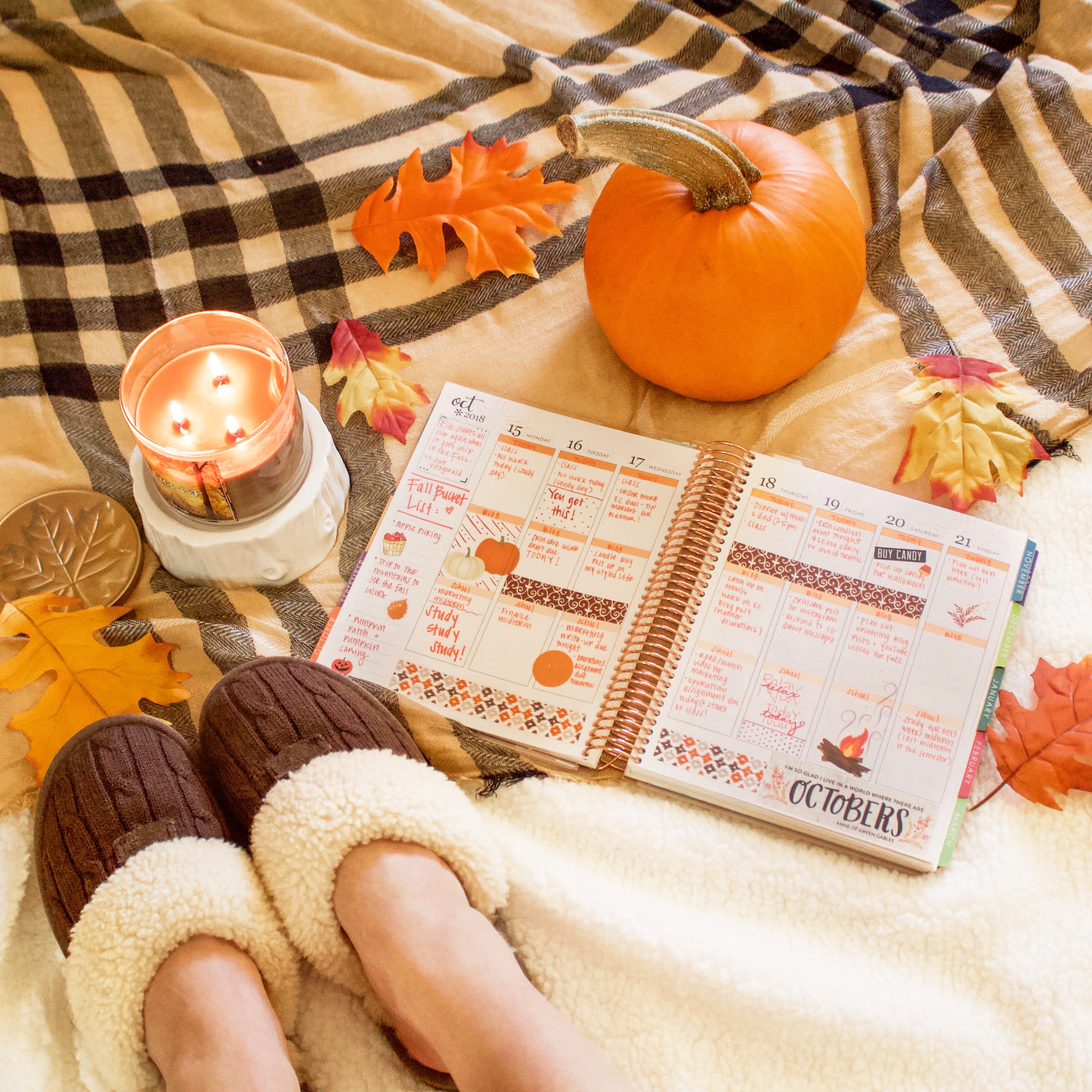 Erin Condren LifePlanner Decoration Idea - Fall