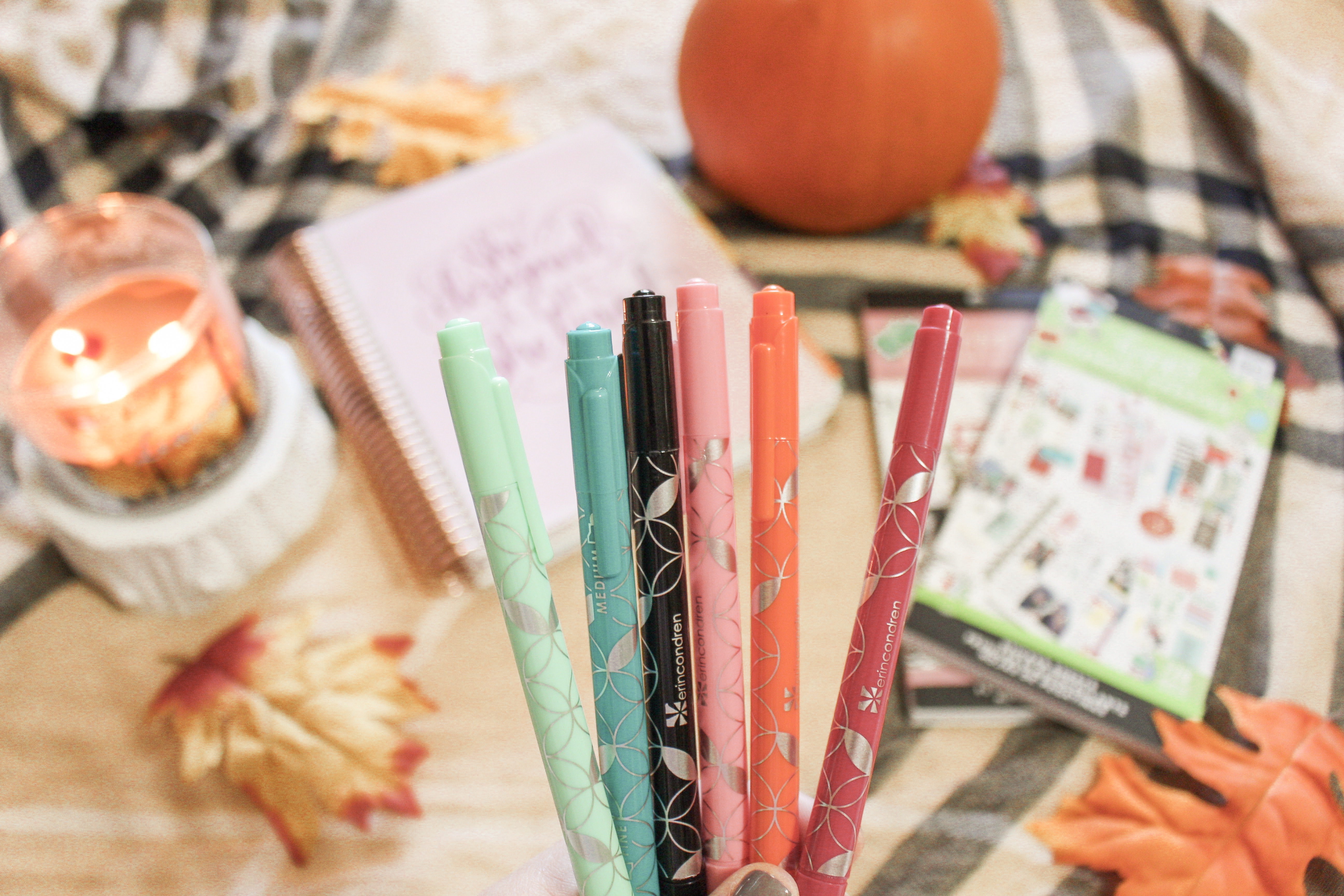 erin condren dual tip markers