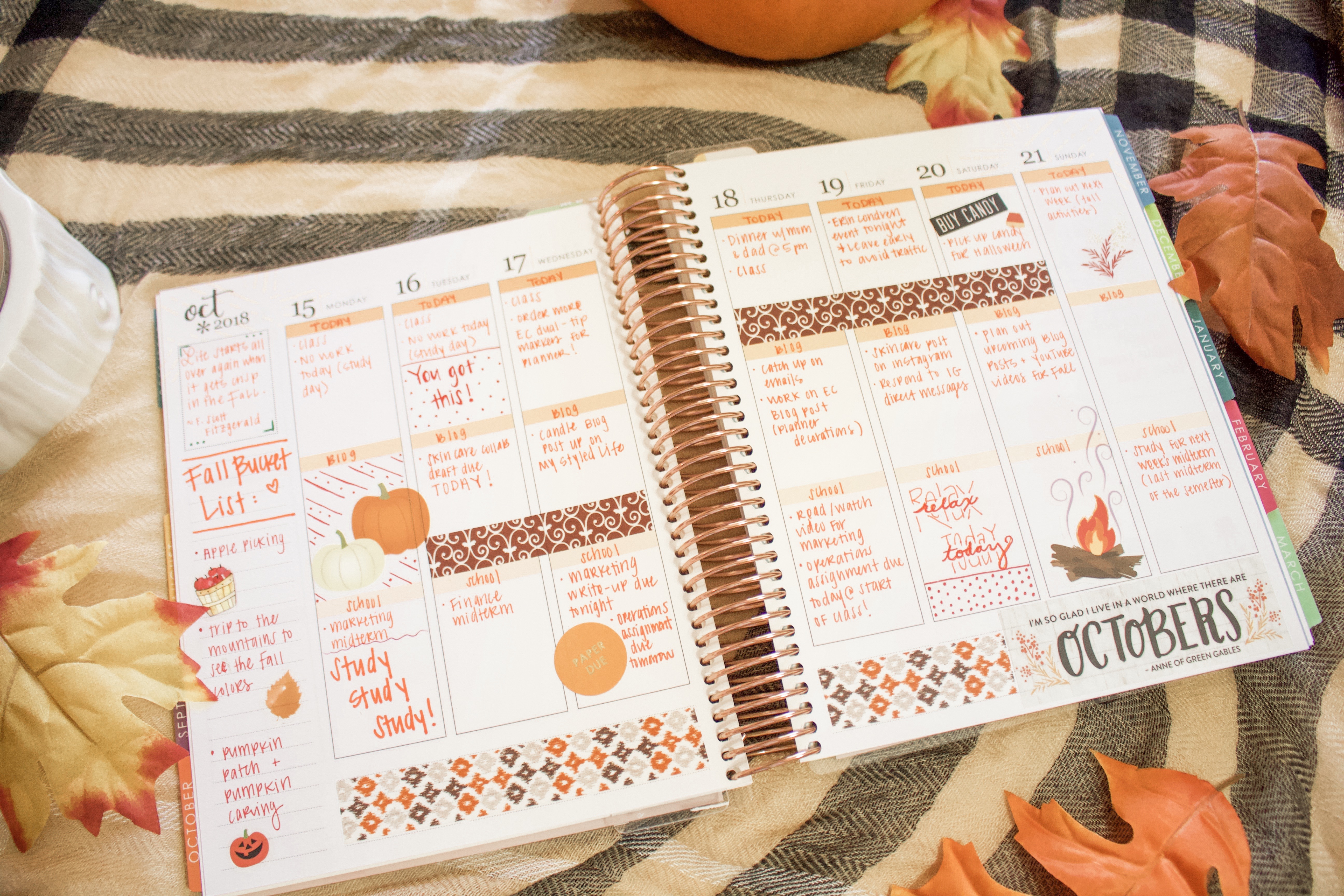 how to decorate your erin condren LifePlanner