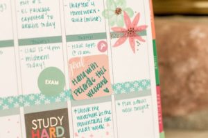 erin condren sticky notes