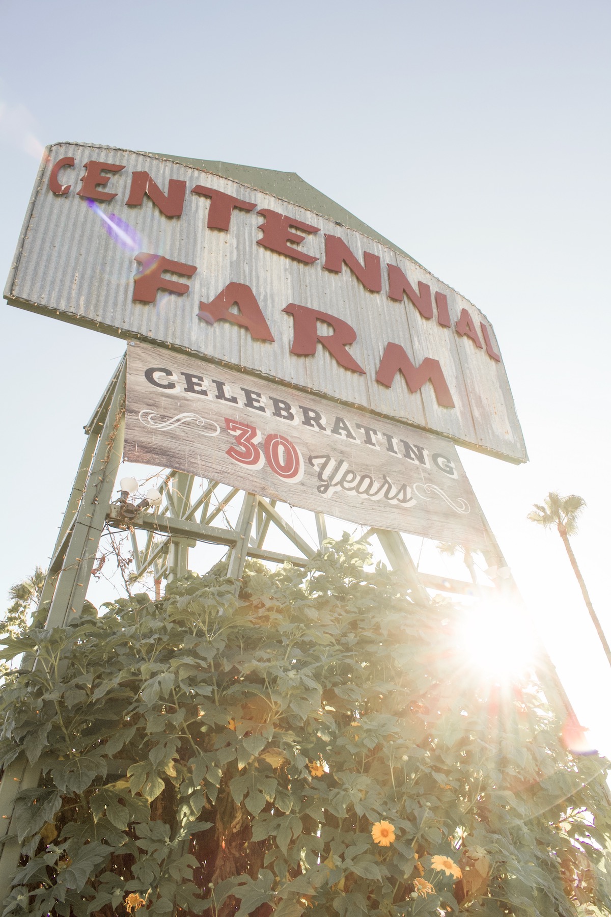 centennial farm oc fair 2019