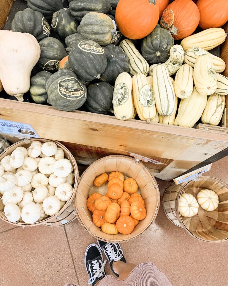 Which of these pumpkin food and beauty items do you plan to pick up
