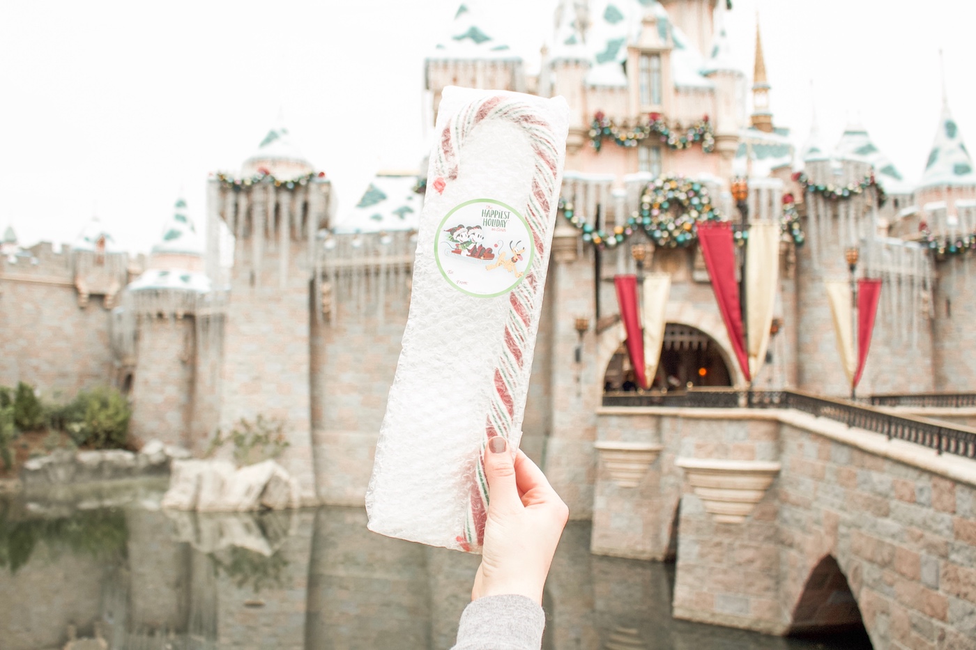 Disneyland Candy Cane guide