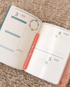 erin condren daily petite planner