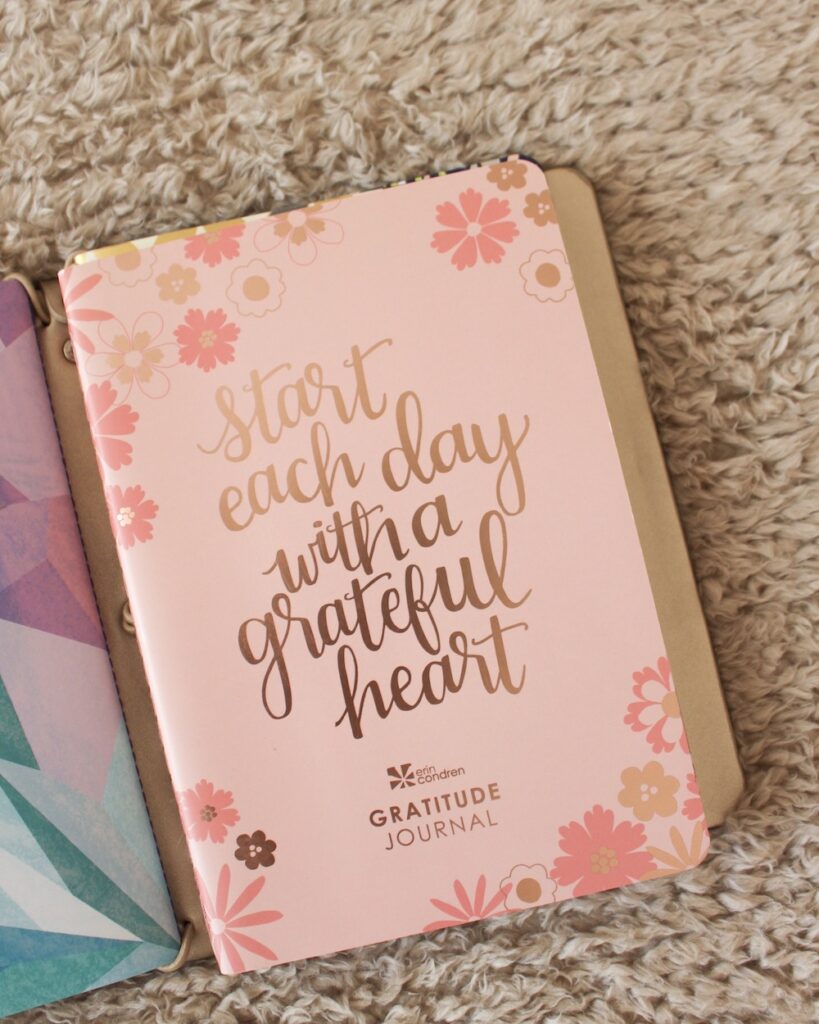 erin condren gratitude journal