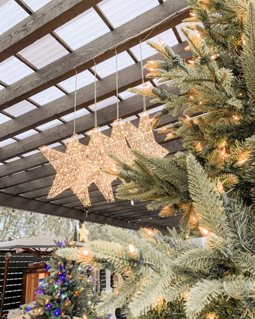 christmas things to do in orange county