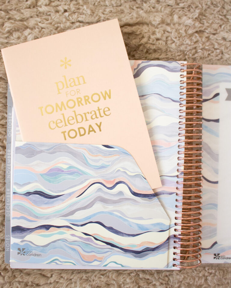 NEW Erin Condren 2021 LifePlanner Review Neutral Layers My Styled Life