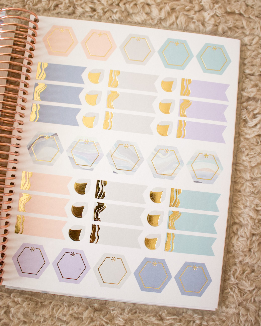 Using Only Erin Condren Stickers! Plan with Me: New 2016-17 EC Accessories  