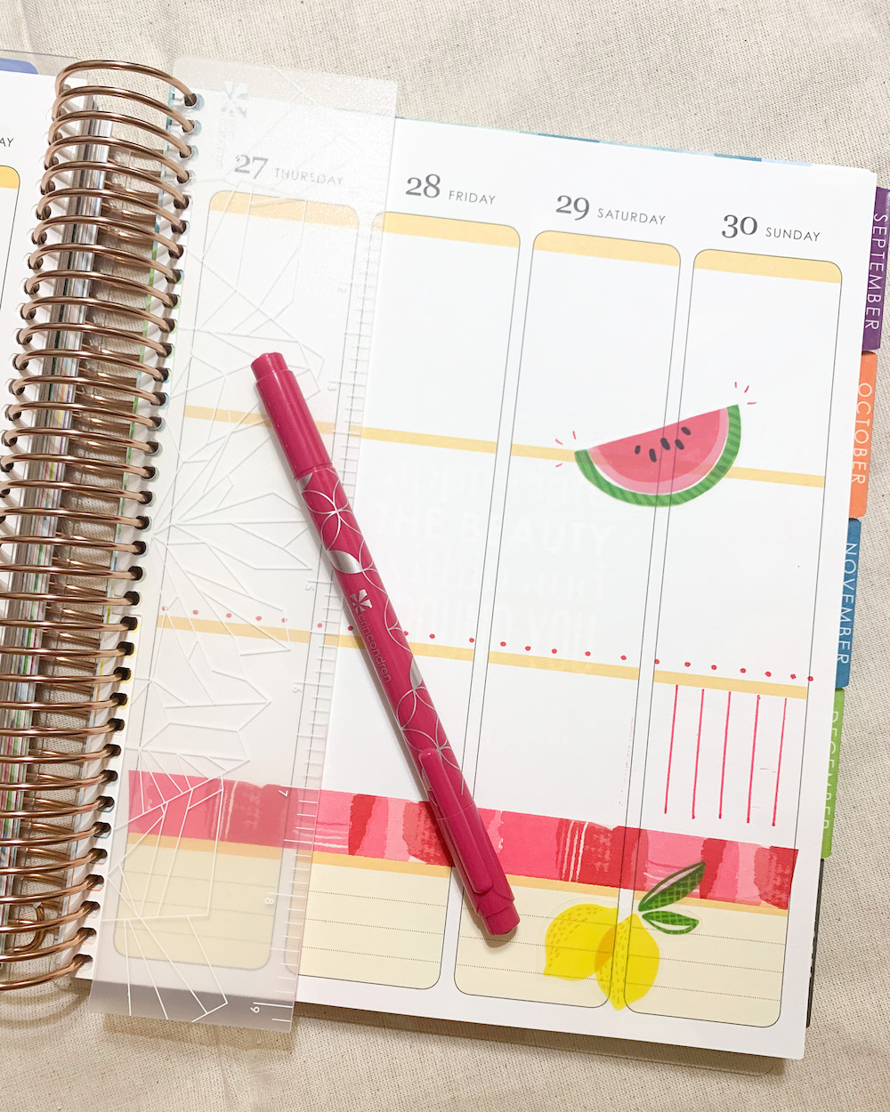 how to use erin condren lifeplanner