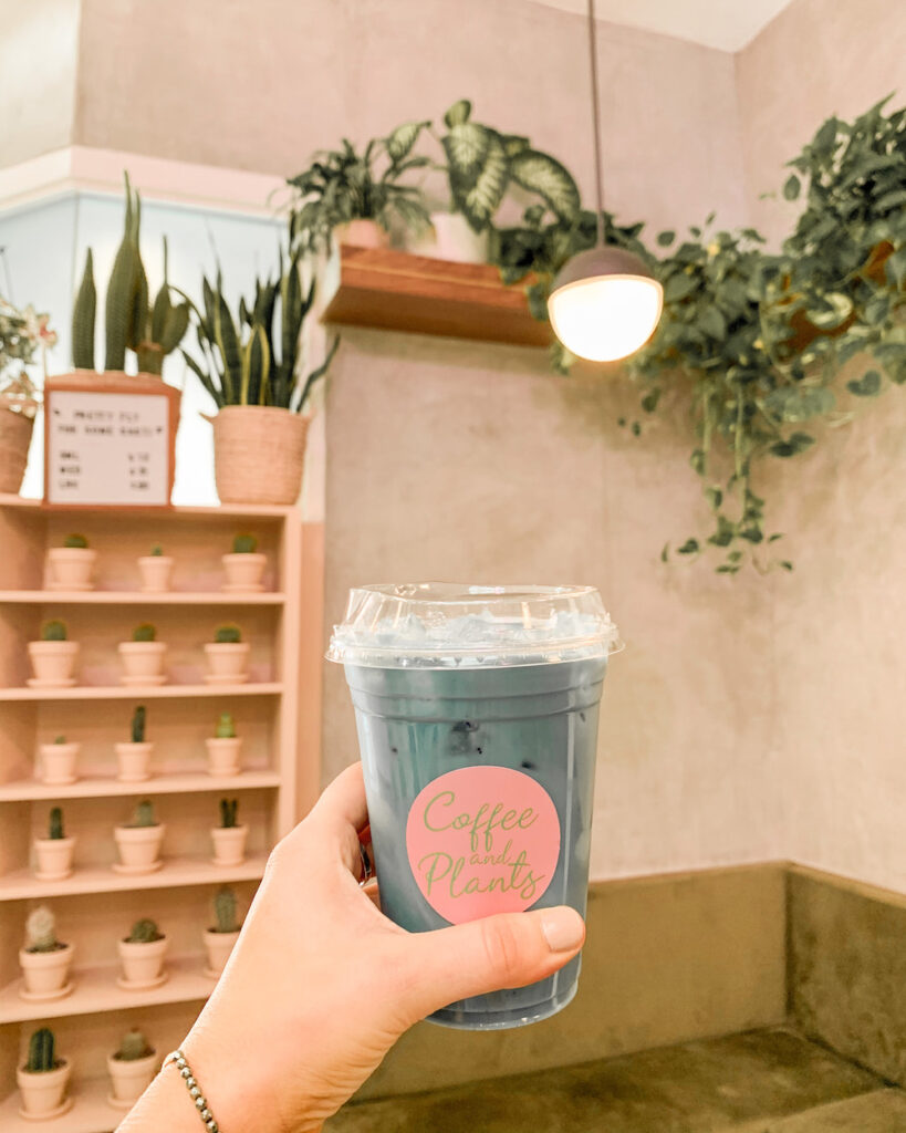 https://mystyledlife.com/wp-content/uploads/2020/09/blue-lavender-latte-coffee-and-plants-la-819x1024.jpg