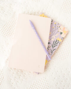 erin condren softbound notebook review